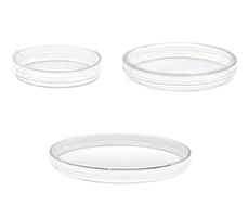 Petri Dish